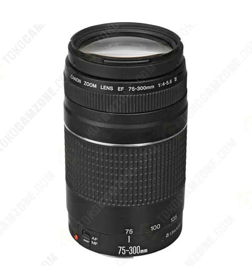 Canon EF 75-300mm f/4-5.6 III